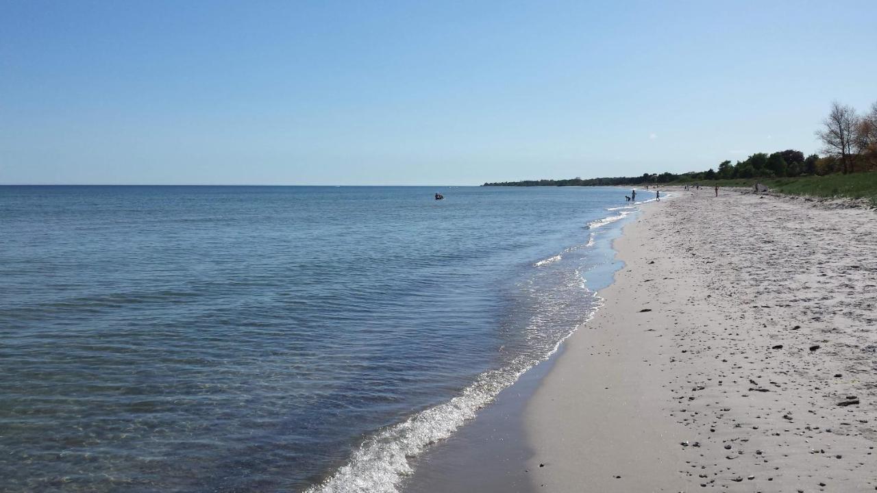Strandboende Beddinge Strand Εξωτερικό φωτογραφία